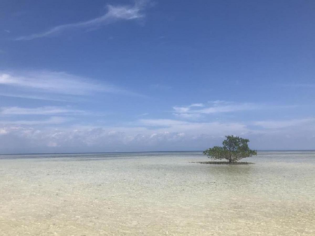 Irish Lodge Panglao Eksteriør billede